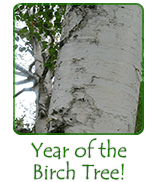 Plant of the Month